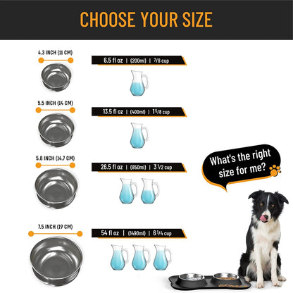 Stainless Steel Dog Bowl Set with Silicone Mat - No Spill, Mess-Proof Design - Small, Medium, & Large Sizes